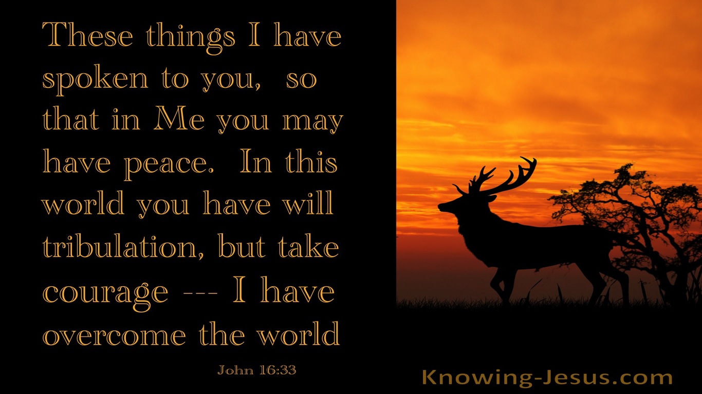 John 16:33 Take Courage I Have Overcome The World (brown)